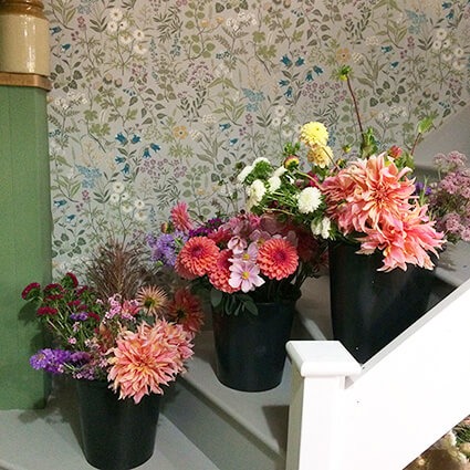 September DIY Wedding Flower Buckets grown by The Flower Patch Measham