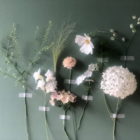 August Flowers and grasses for a neutral palette